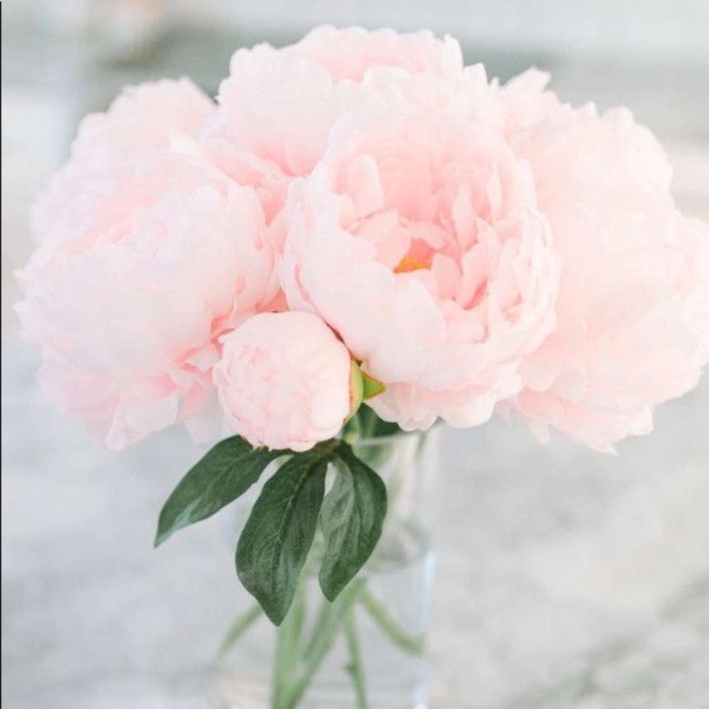 Gm for duffel and purse w/ @misserinnoel